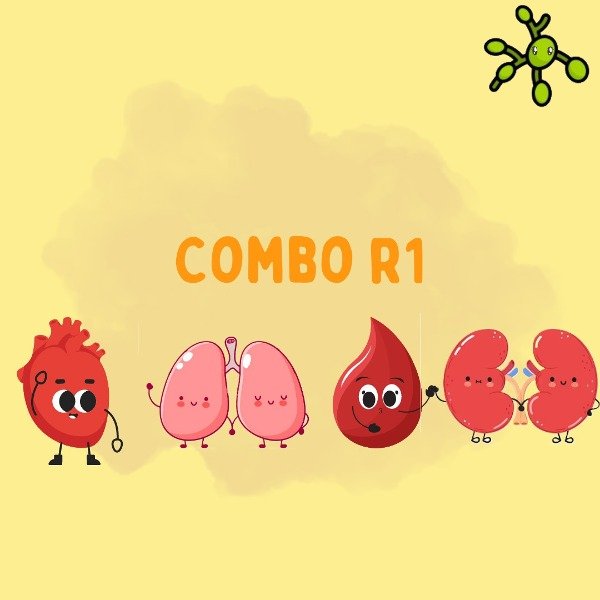 Producto - COMBO R1 VIRTUAL