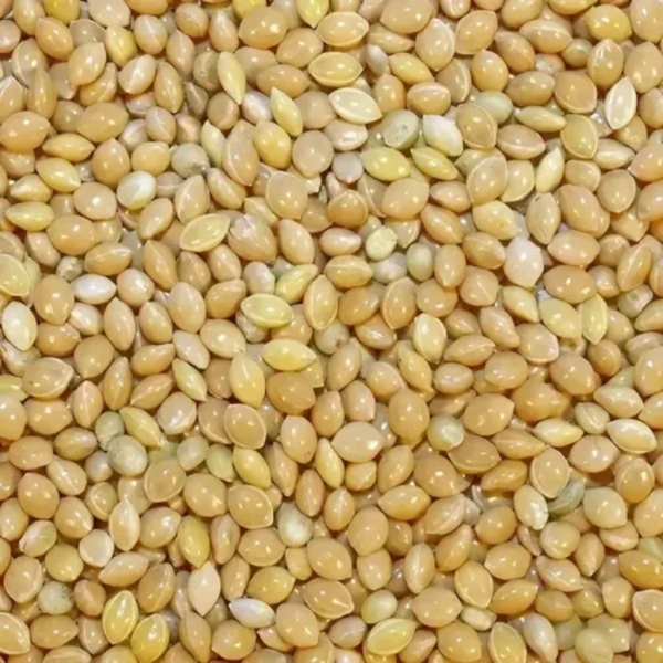 Producto - Mijo 1/2 Kg