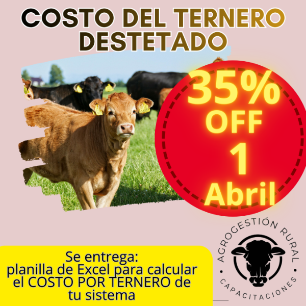 Producto - Taller Online: Costo del Ternero