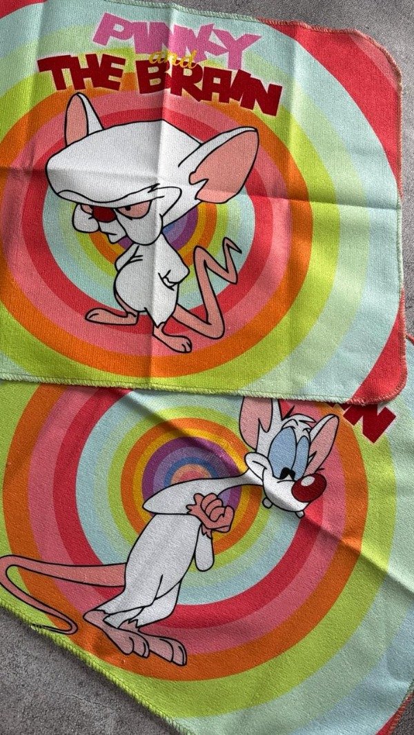 Producto - REPASADOR - PINKY Y CEREBRO