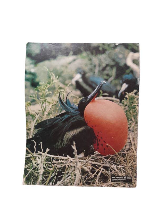 Miniatura de producto - 7