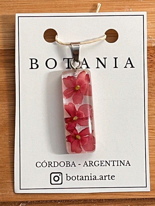 Producto - Variedad 30 verbena roja - 0