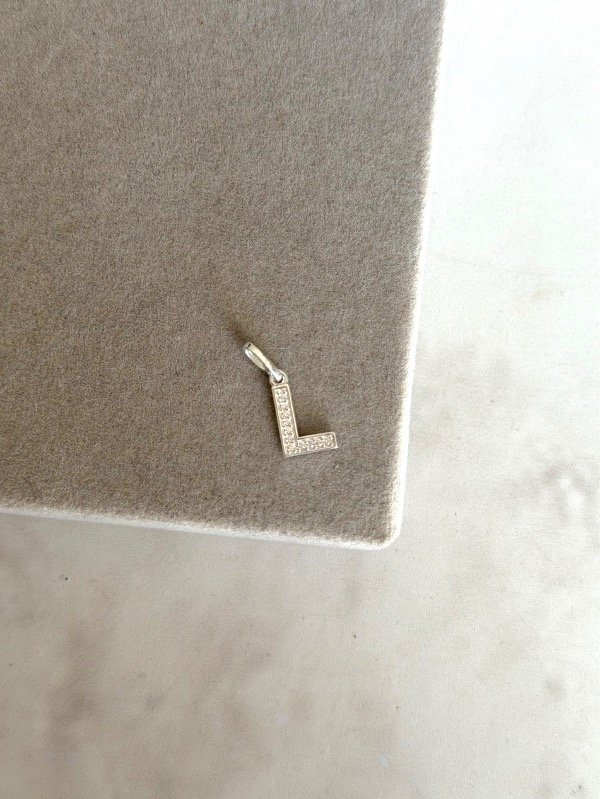 Producto - Dije letra L micropave