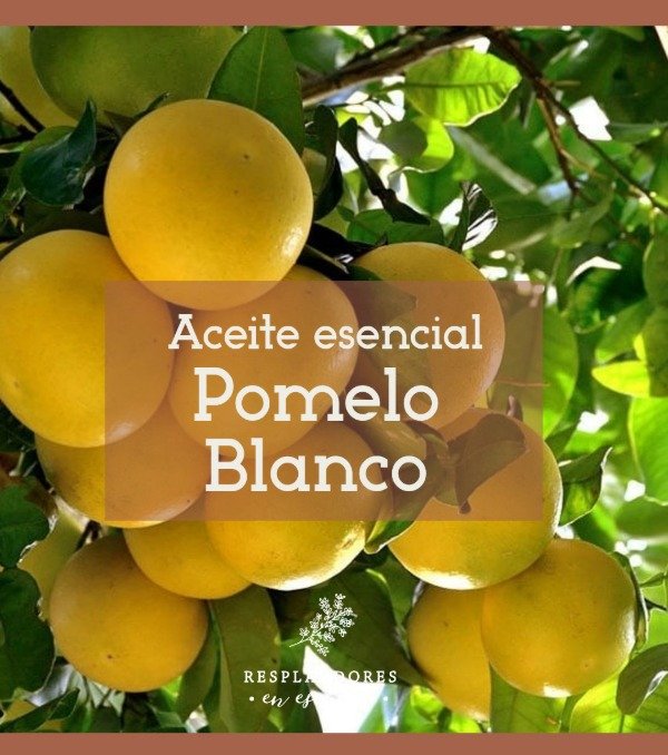 Producto - Ac Esencial Pomelo Blanco