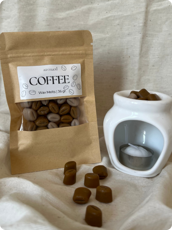 Producto - Kit hornito + Wax Melts - 4
