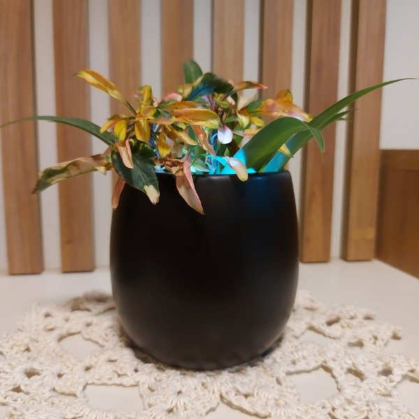 Producto - M314N - M315N