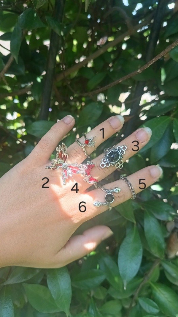 Producto - Mix Anillos 21