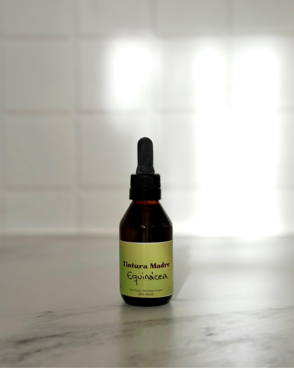 Producto - Tintura madre Equinacea