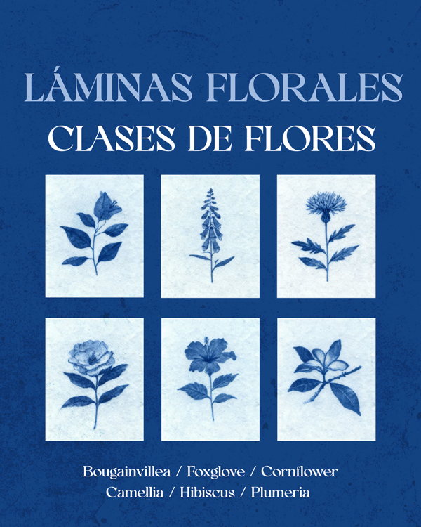Producto - 10 Láminas Florales