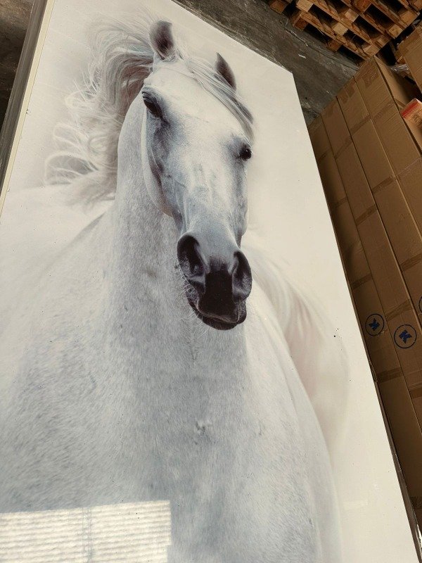 Producto - Placa decorativa PVC 3mm 244x122 diseño caballo blanco sobre fondo claro
