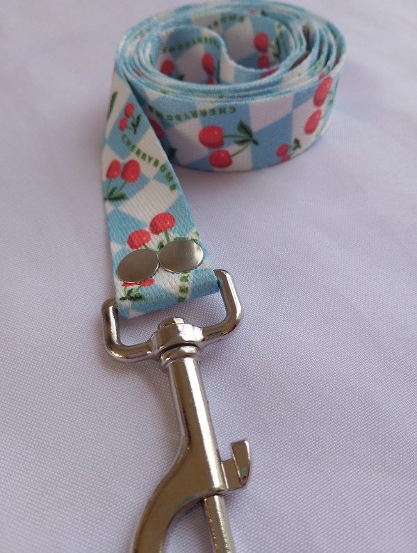 Producto - Correa Chery Baby Blue 25 MM - 3