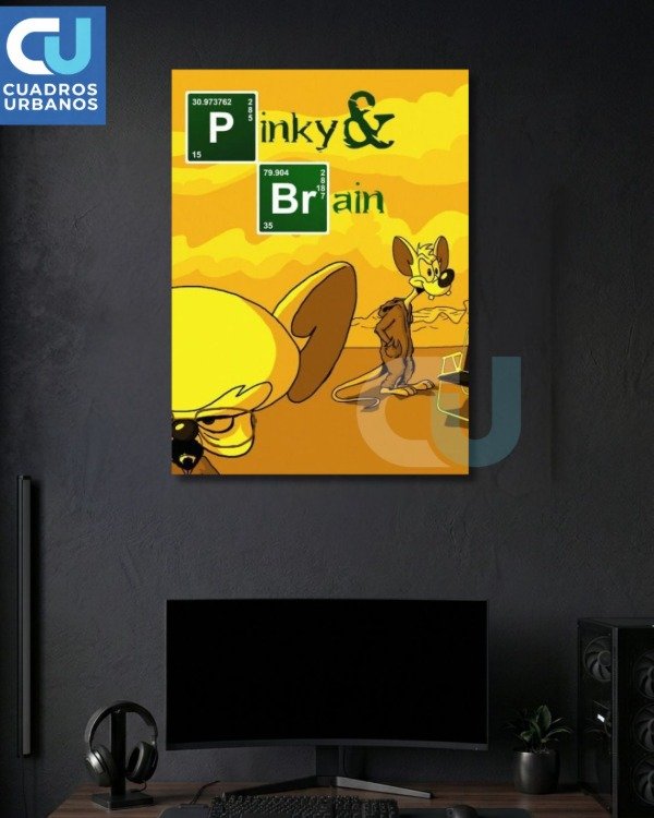 Producto - Pinki y Cerebro 9