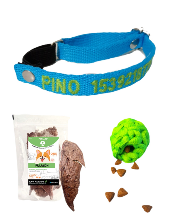 Producto - KIT IDENTIFICACIÓN Y OLFATO GATO- Collar bordado -snack - pelotita porta premios