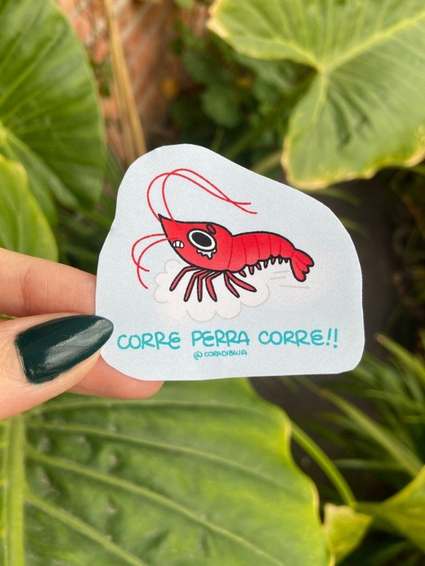 Producto - STICKER CONICET LANGOSTINO