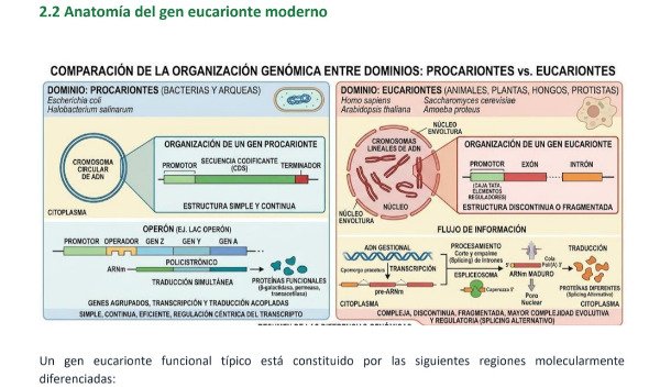 Producto - PACKx3 Cuadernillos de núcleotidos, ADN a proteínas y Proteínas - ESTUDIANTES - 2