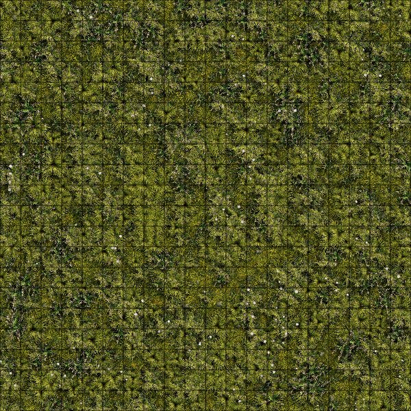 Producto - Bosque 5 -  50x50