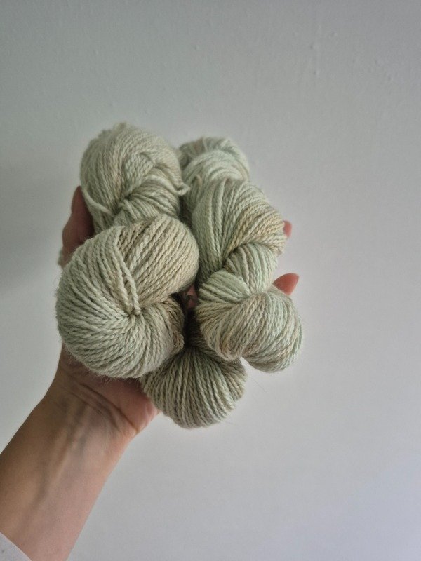 Producto - Eneldo 50 grs.