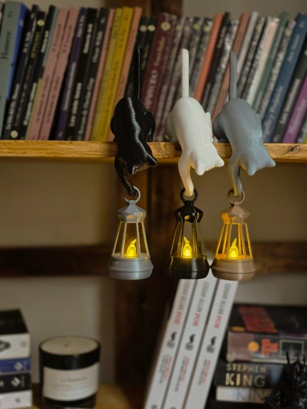 Producto - GATO CON FAROL PARA BIBLIOTECAS - 8