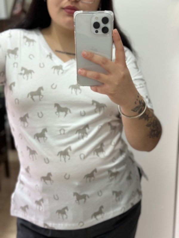 Producto - Caballitos