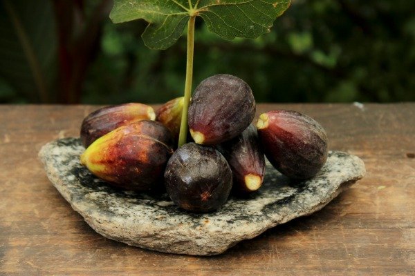 Producto - Plato Chico, en Piedras Naturales.