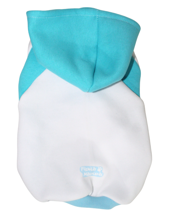 Producto - Buzo Premium Argentina