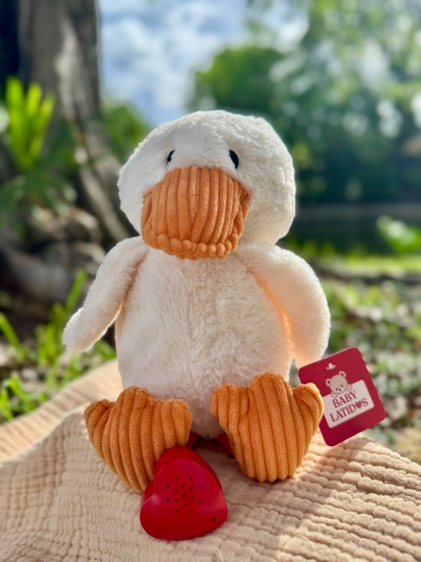 Producto - Lumi