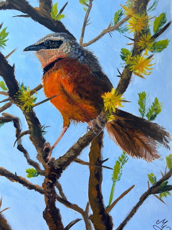 Producto - Pintura al acrílico sobre papel de un ave - 1