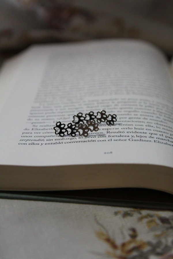 Producto - Aros Huellita