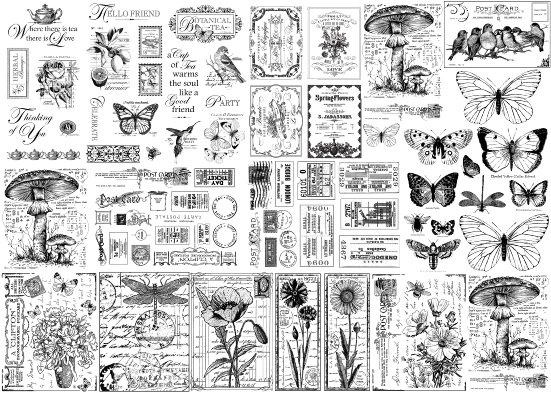 Producto - STAMP 4
