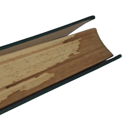 Miniatura de producto - 7