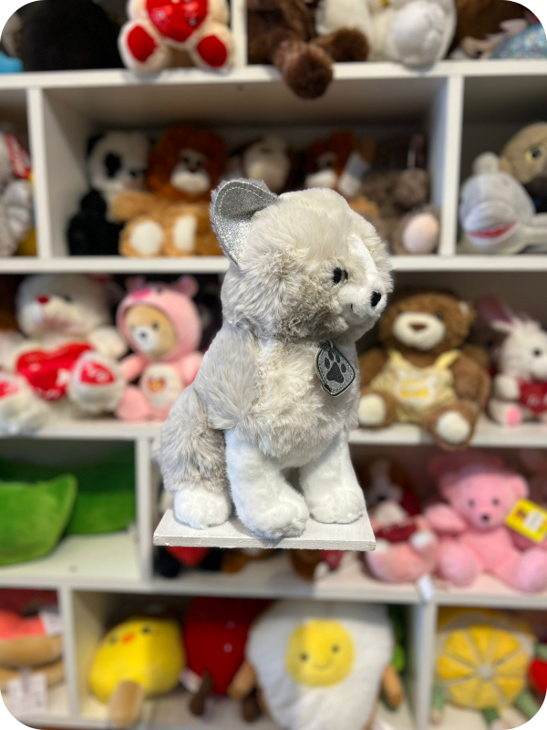 Producto - Gato con collar