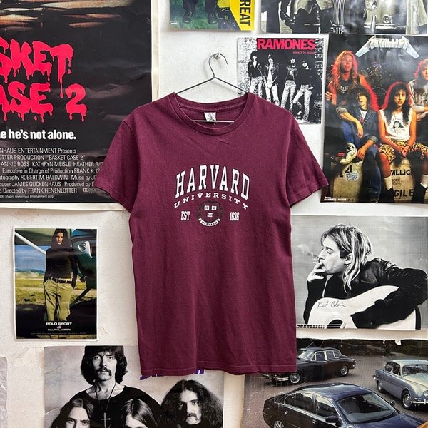 Producto - Remera Delta Harvard Vintage