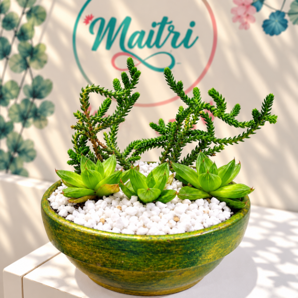 Producto - Cazuela pintada verde y dorada