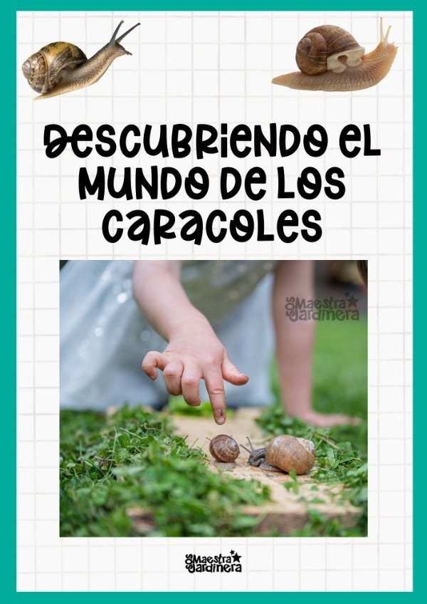 Producto - Descubriendo el mundo de los caracoles