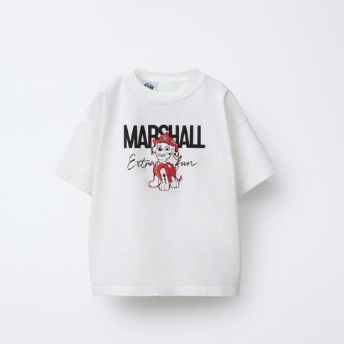 Producto - ZARA - Remera Marshall
