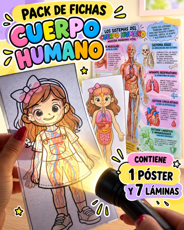 Producto - PACK DE FICHAS. EL CUERPO HUMANO