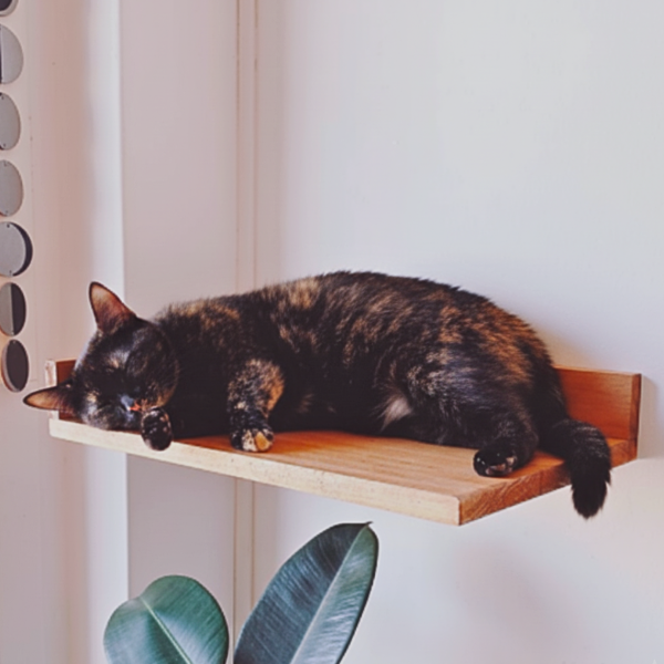 Producto - CAMA PARA GATOS (aérea)