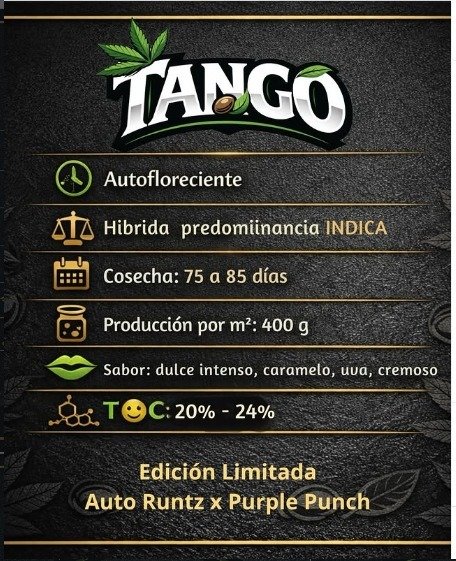 Producto - Tango 3 + 1 Auto - Elefante Blanco Seeds