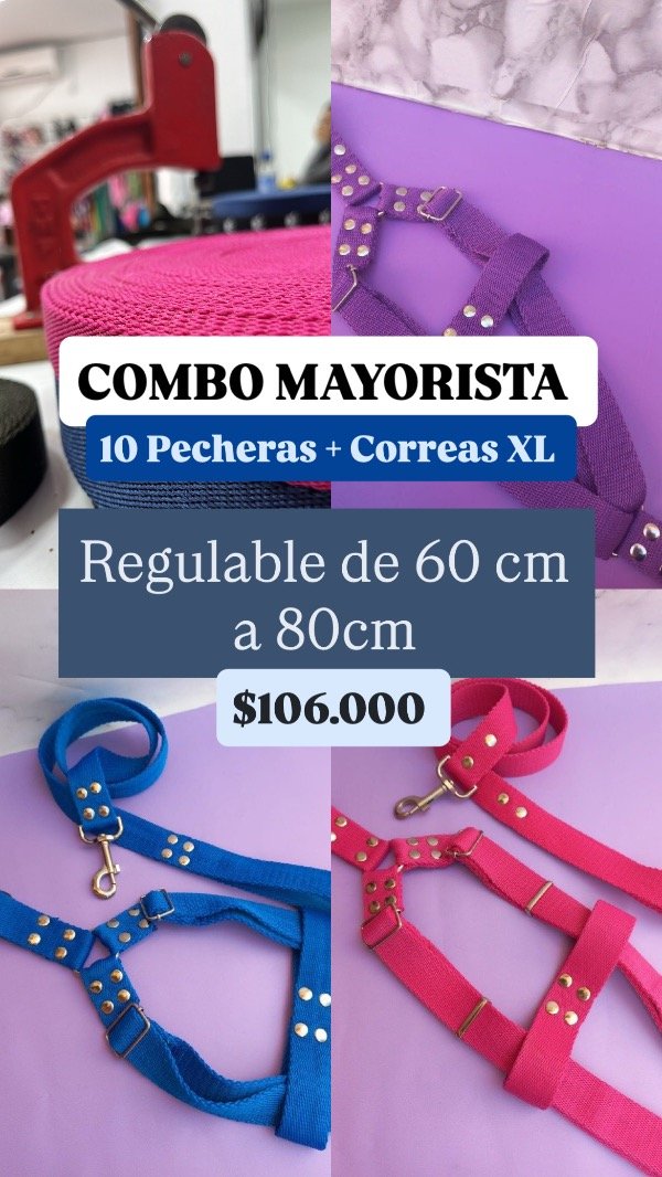 Producto - Combo pechera + correa XL - 0