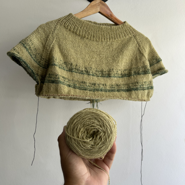 Producto - Arquitectura del Raglán - Raglán como Experta (Curso virtual)