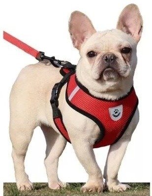 Producto - ARNES CON CORREA PARA PERRO O GATO TELA TRANSPIRABLE TALLE S