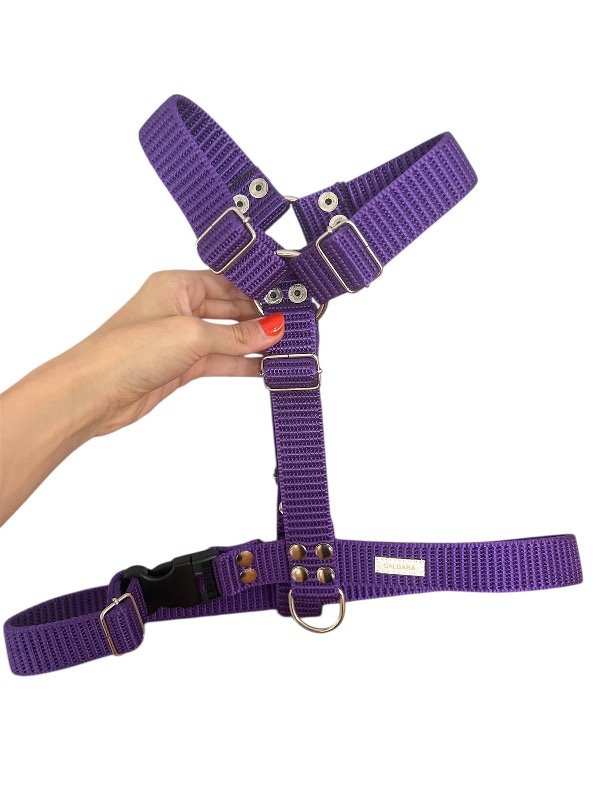 Producto - Pretal H cinta nato VIOLETA