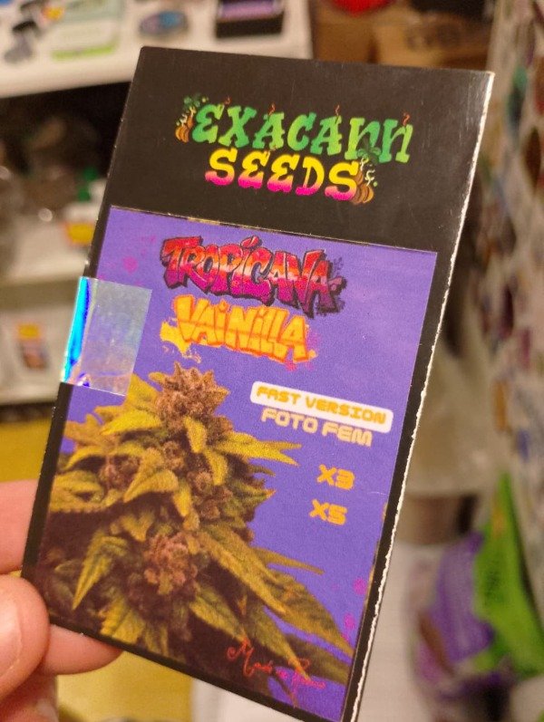 Producto - EXACANN "TROPICANA VAINILLA" FOTOPERIODICA x3