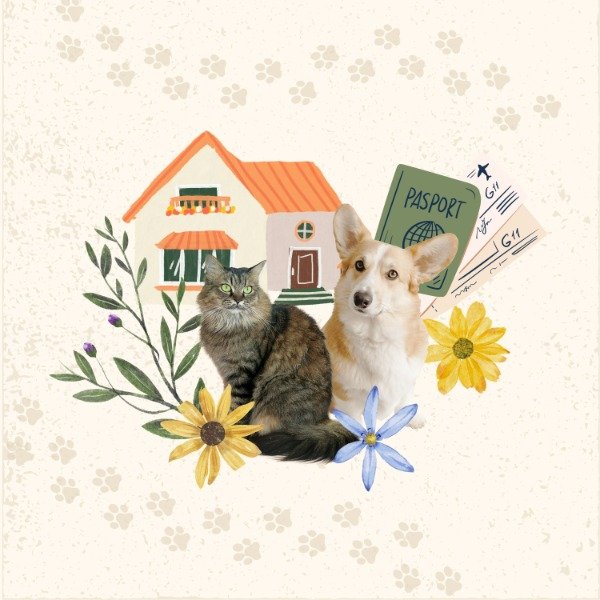Producto - Pet Sitting - Guardería