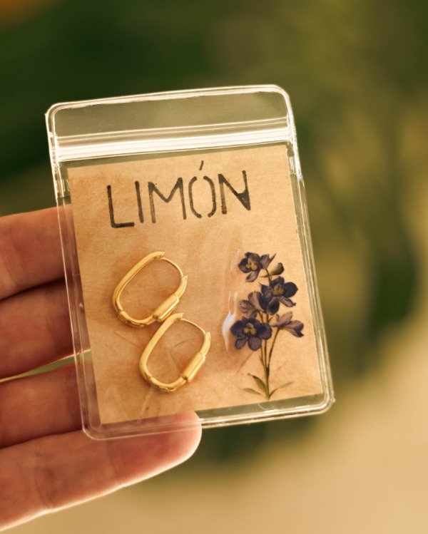 Producto - AROS SALVIA