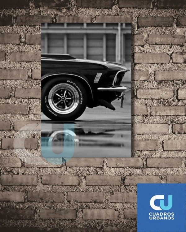 Producto - Autos clasicos 12