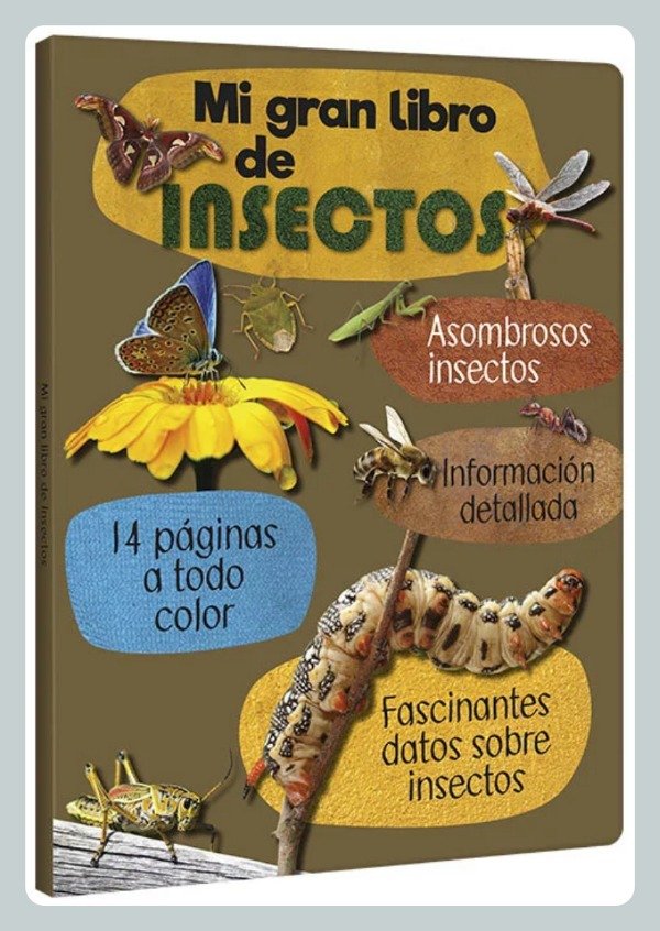 Producto - Mi Gran Libro de Insectos