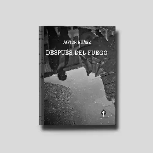 Producto - Después del fuego