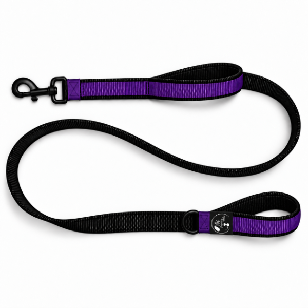 Producto - CORREA URBANO / Con doble Asa Acolchada - 3