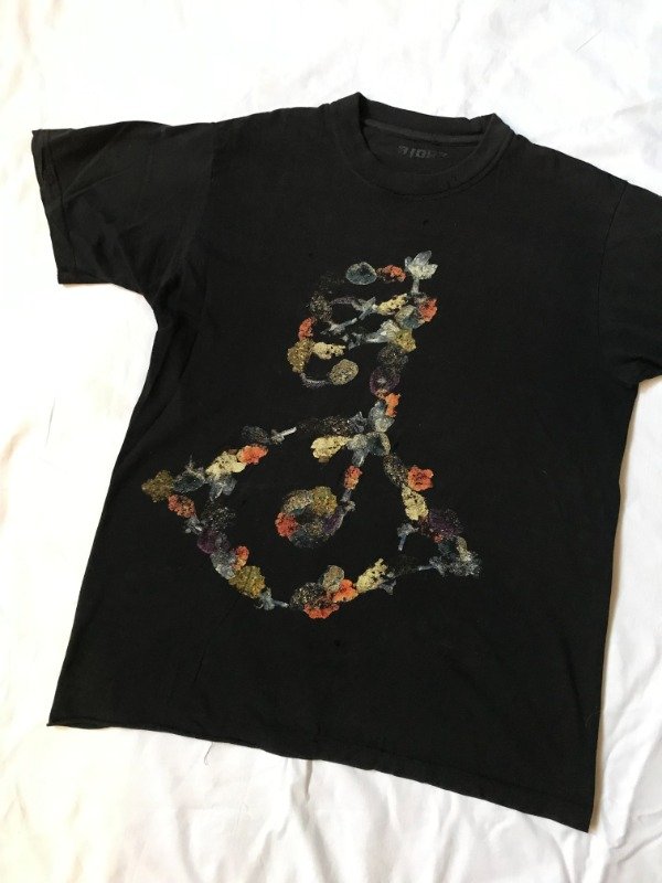 Producto - Björk rare Biophilia merch 2011 distressed tubular tee.